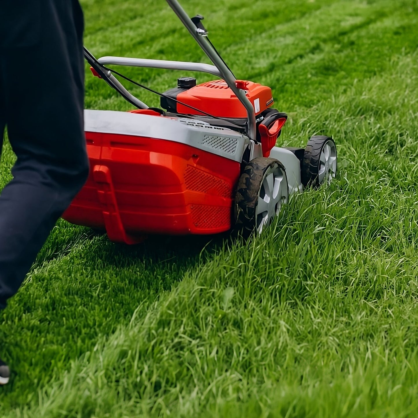Fragancia Fresh Cut Grass