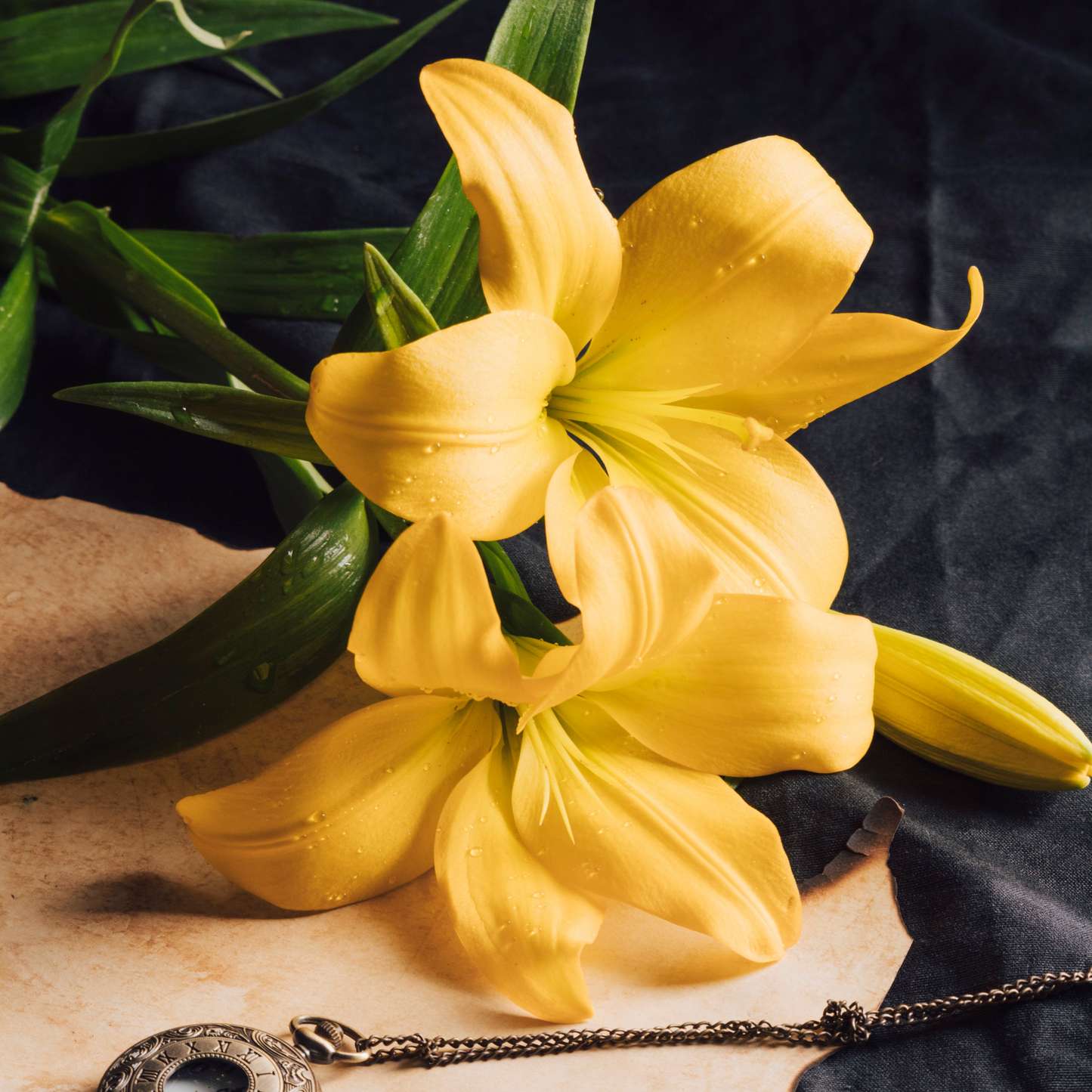 Fragancia Lily & Ginger