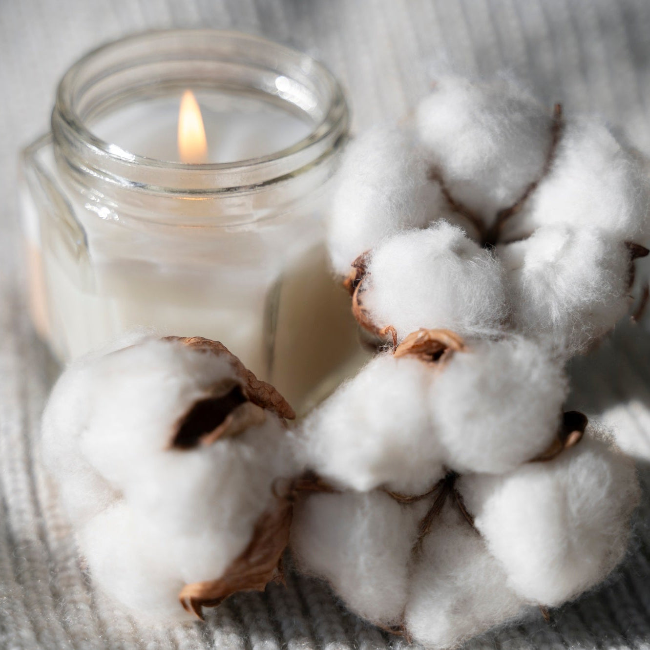 Fragancia Clean Cotton